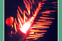 2014_karacsony (38)