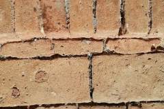 badacsonylabdihegy_plebania (5)