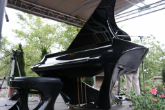 boganyi_koncert_galeria (1)