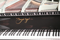 boganyi_koncert_galeria (14)