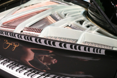 boganyi_koncert_galeria (16)