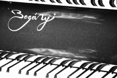 boganyi_koncert_galeria (17)