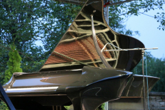 boganyi_koncert_galeria (4)