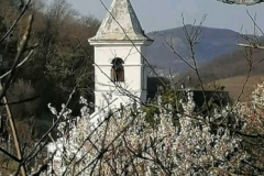 gyumolcsolto_boldogasszony (10)
