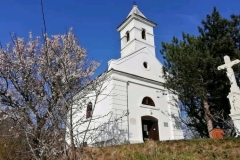 gyumolcsolto_boldogasszony (3)