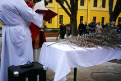 viragvasarnap_2018 (4)