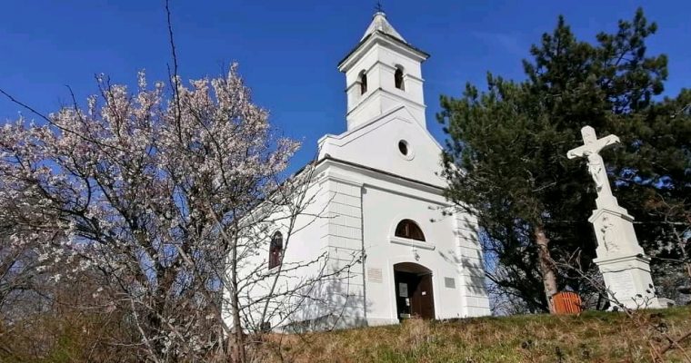 Gyümölcsoltó Boldogasszony Ünnepe